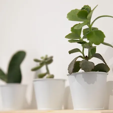 アパート Le Maleville - De Standing ペリグー